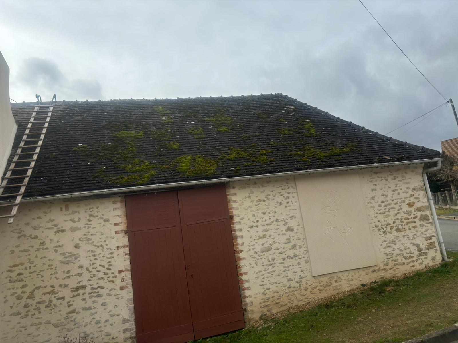 Toiture avant démoussage — élagueur 72