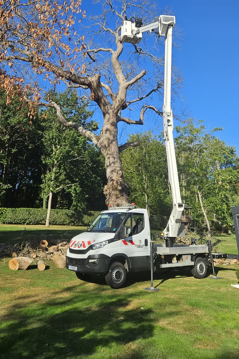 Bois débité en billots au pied de l'arbre après intervention en nacelle — Artisan Renard, Sarthe (72)