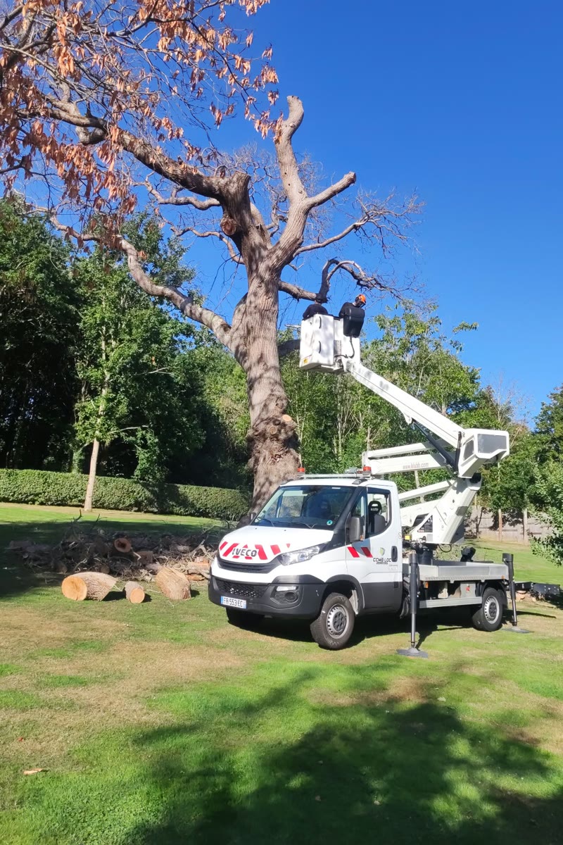 Camion nacelle d'Artisan Renard au pied d'un grand arbre en Sarthe (72) — élagueur 72